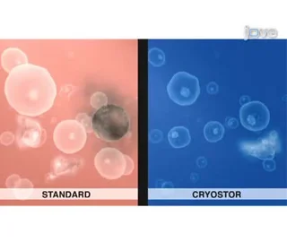 CryoStor