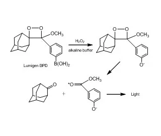 Hydrogen Peroxide Detection