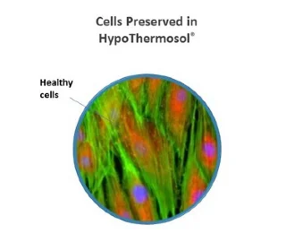 HypoThermosol